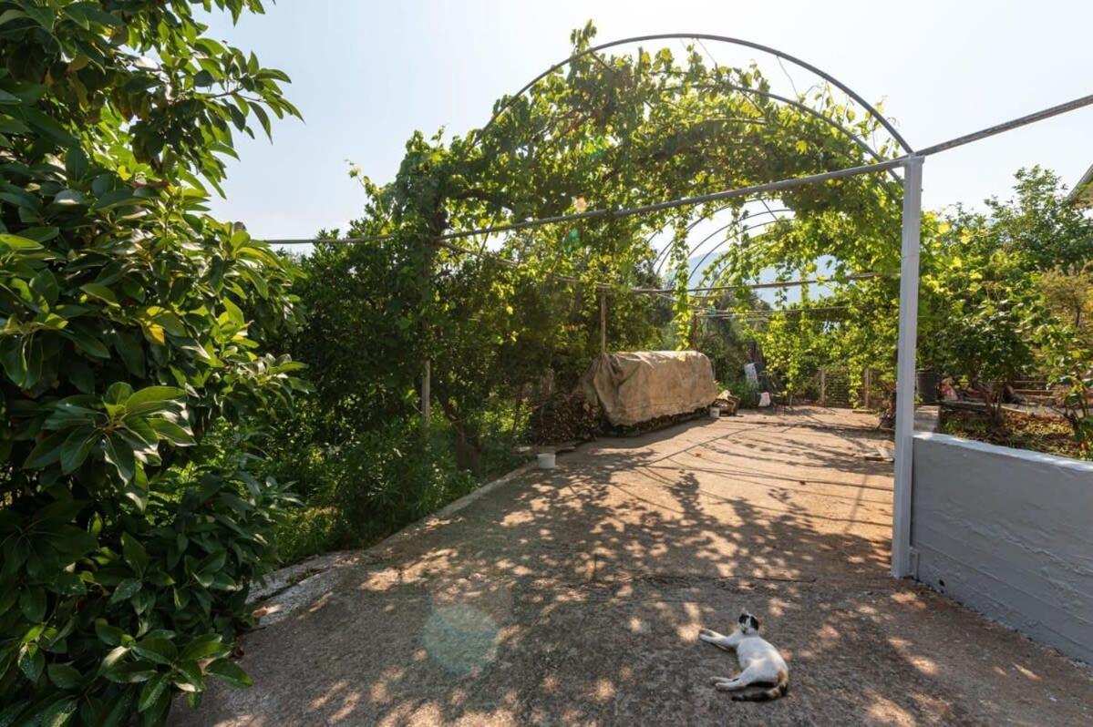 Serene Seaside Bliss - Lush & Secluded Garden Oasis Kalamata Exterior foto